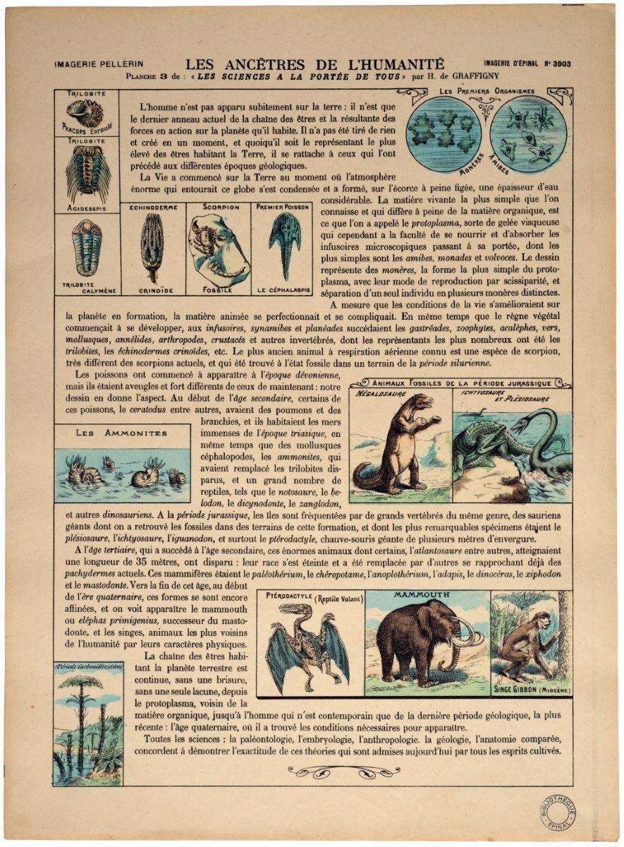 LES ANCÊTRES DE L'HUMANITÉ / PLANCHE 3 de : "LES SCIENCES A LA PORTÉE DE TOUS" par H. de GRAFFIGNY (titre inscrit)