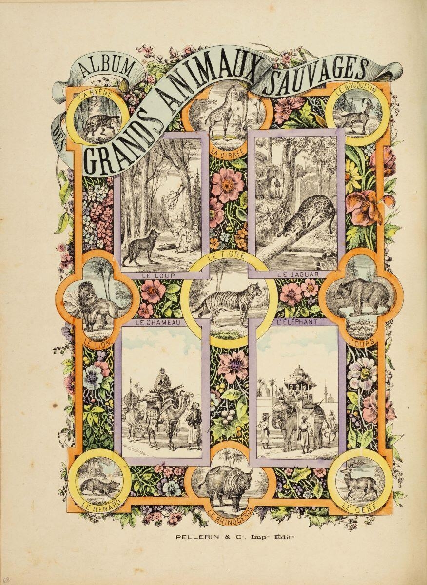 ALBUM / GRANDS ANIMAUX SAUVAGES (titre inscrit)