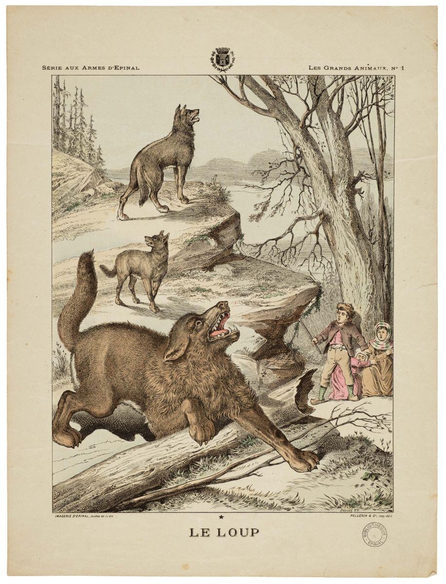LE LOUP (titre inscrit)