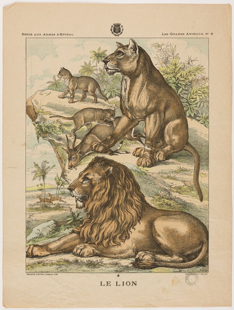 LE LION (titre inscrit)