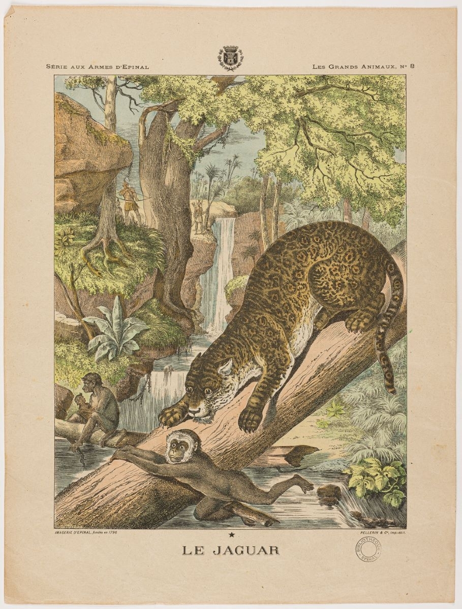 LE JAGUAR (titre inscrit)