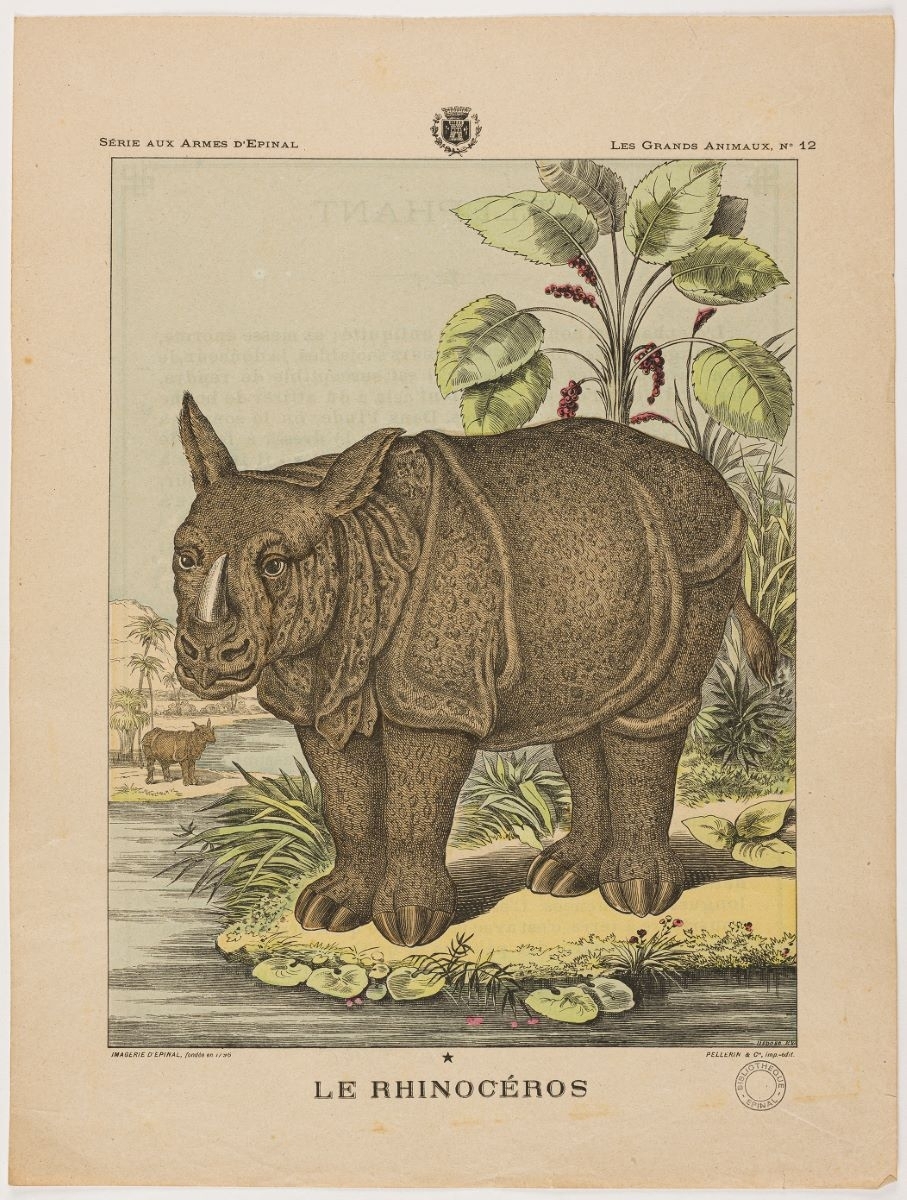 LE RHINOCÉROS  (titre inscrit)