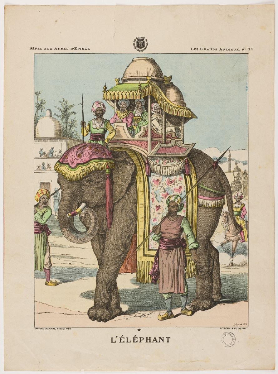 L’ÉLÉPHANT (titre inscrit)
