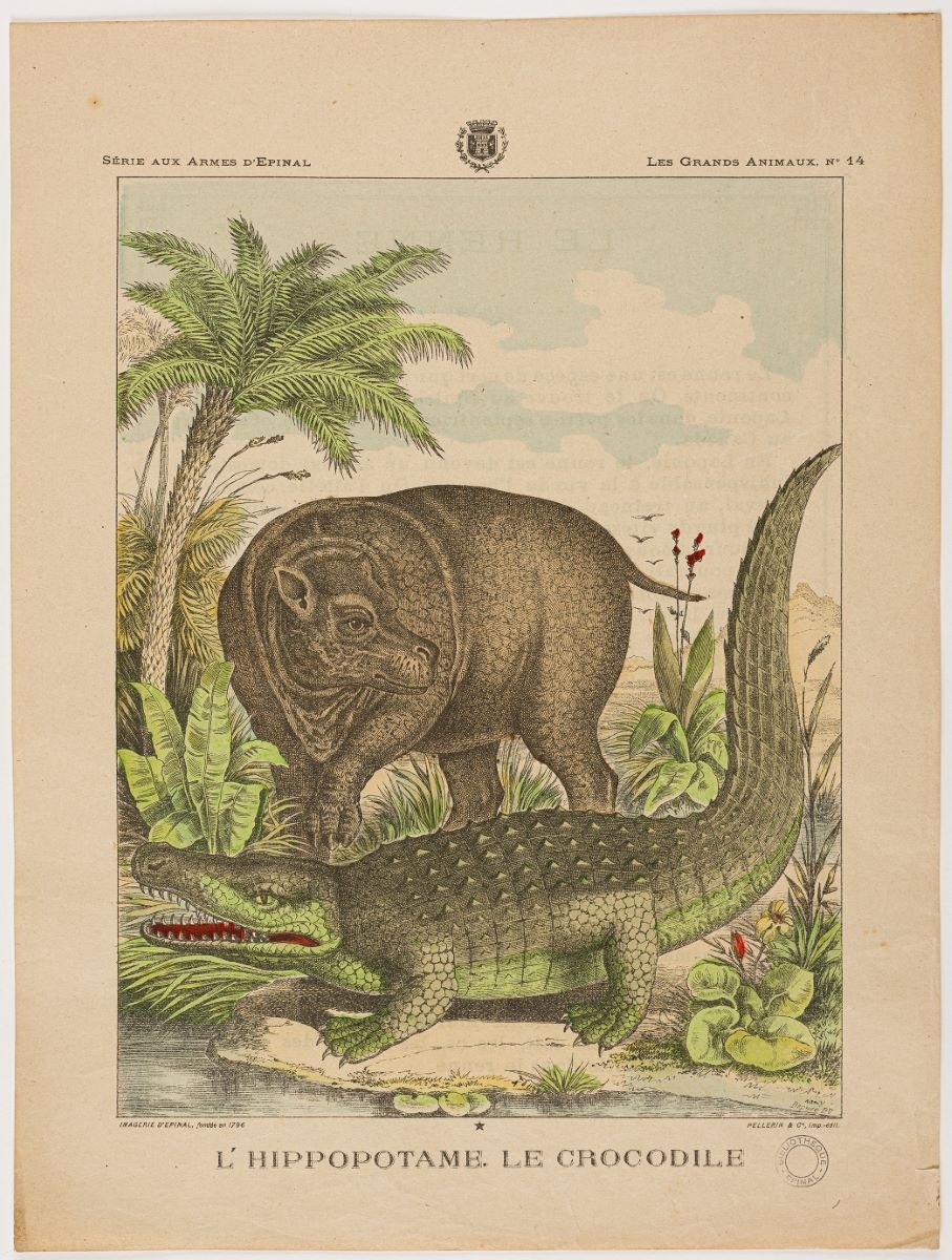 L’HIPPOPOTAME. LE CROCODILE (titre inscrit)
