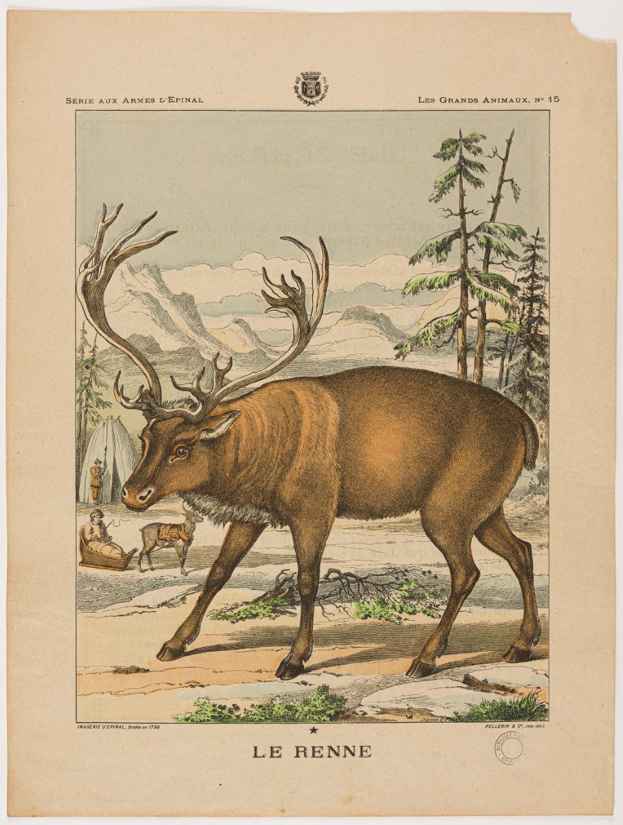 LE RENNE (titre inscrit)