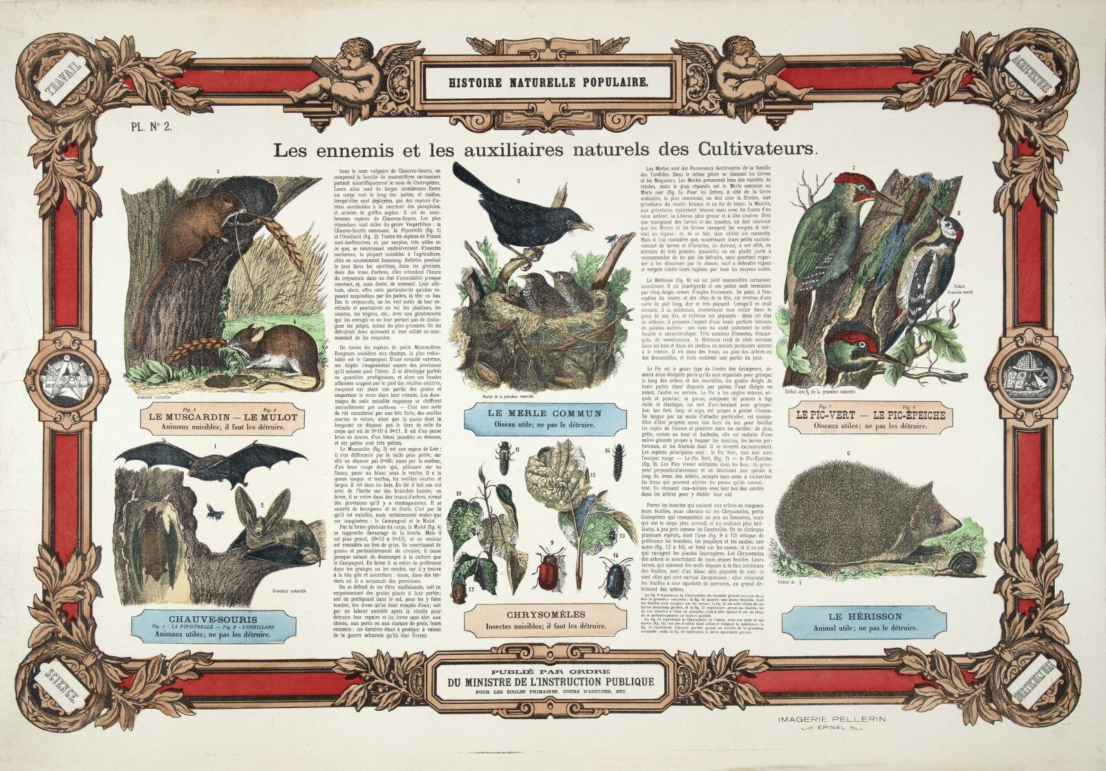 HISTOIRE NATURELLE POPULAIRE. / Les ennemis et les auxiliaires naturels des Cultivateurs. PL. N°.2. (titre inscrit)