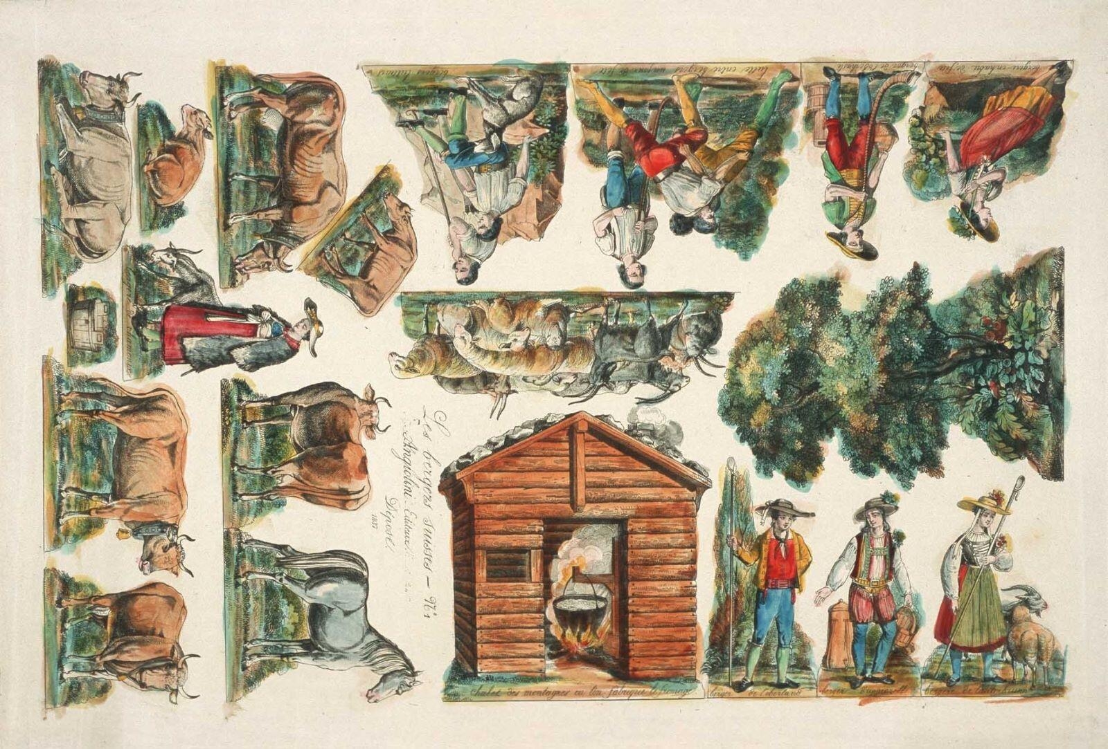 Les bergers suisses - N°1 (titre inscrit)