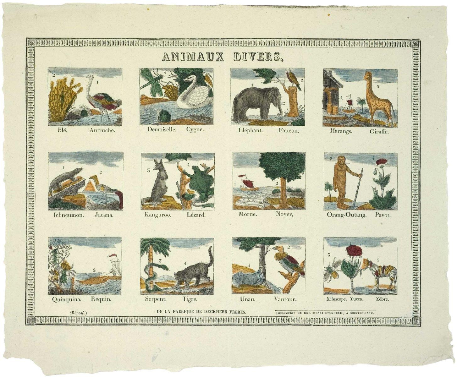 ANIMAUX DIVERS. (titre inscrit)