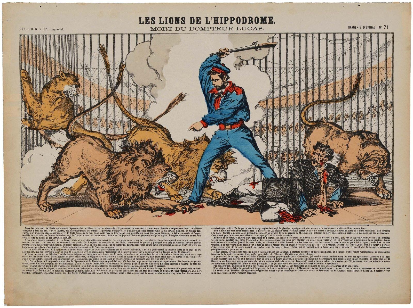 LES LIONS DE L'HIPPODROME. / MORT DU DOMPTEUR LUCAS. (titre inscrit)