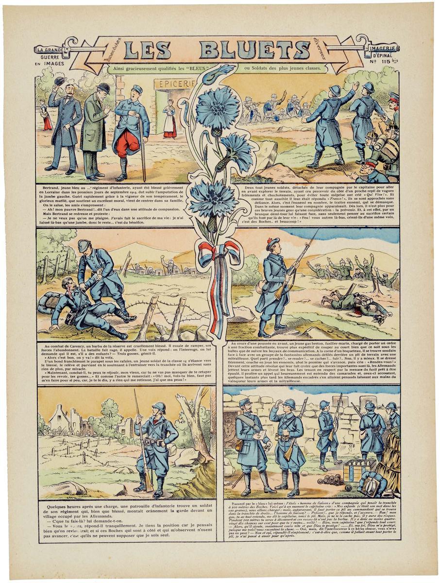 LES BLUETS (titre inscrit)