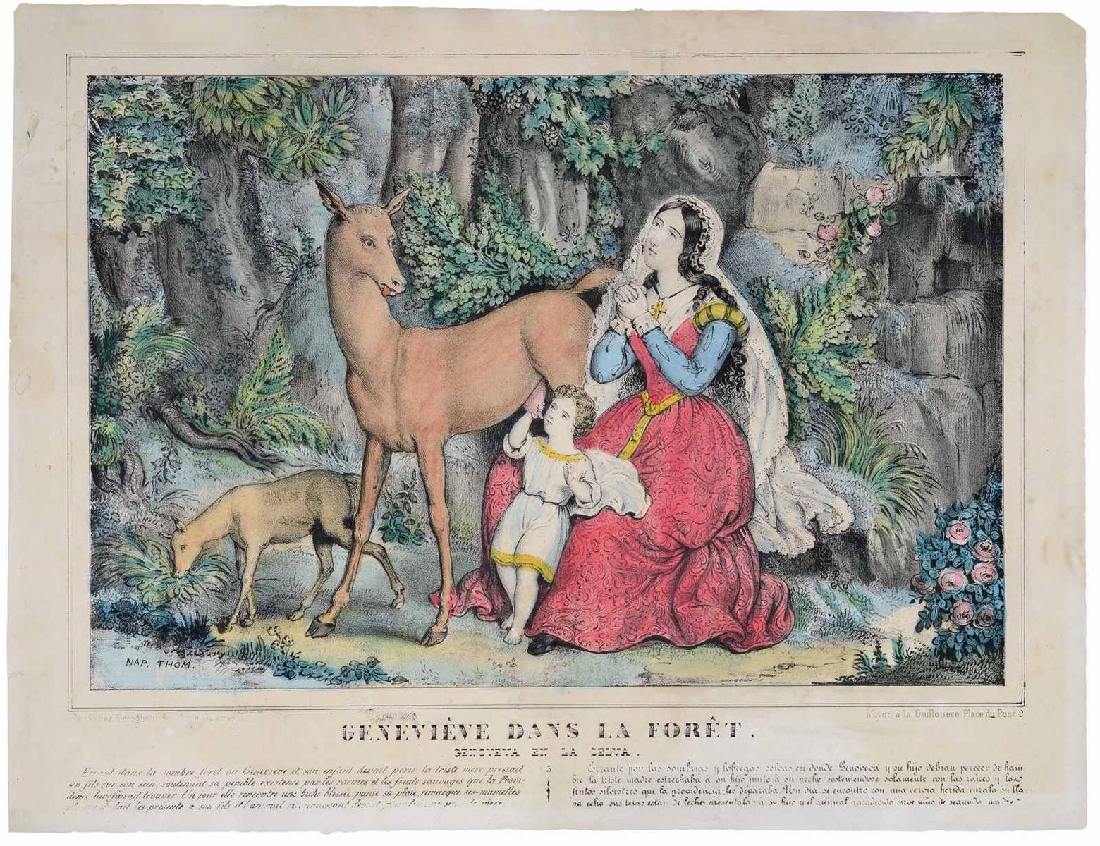 GENEVIÈVE DANS LA FORÊT. (titre inscrit, fr., esp.)