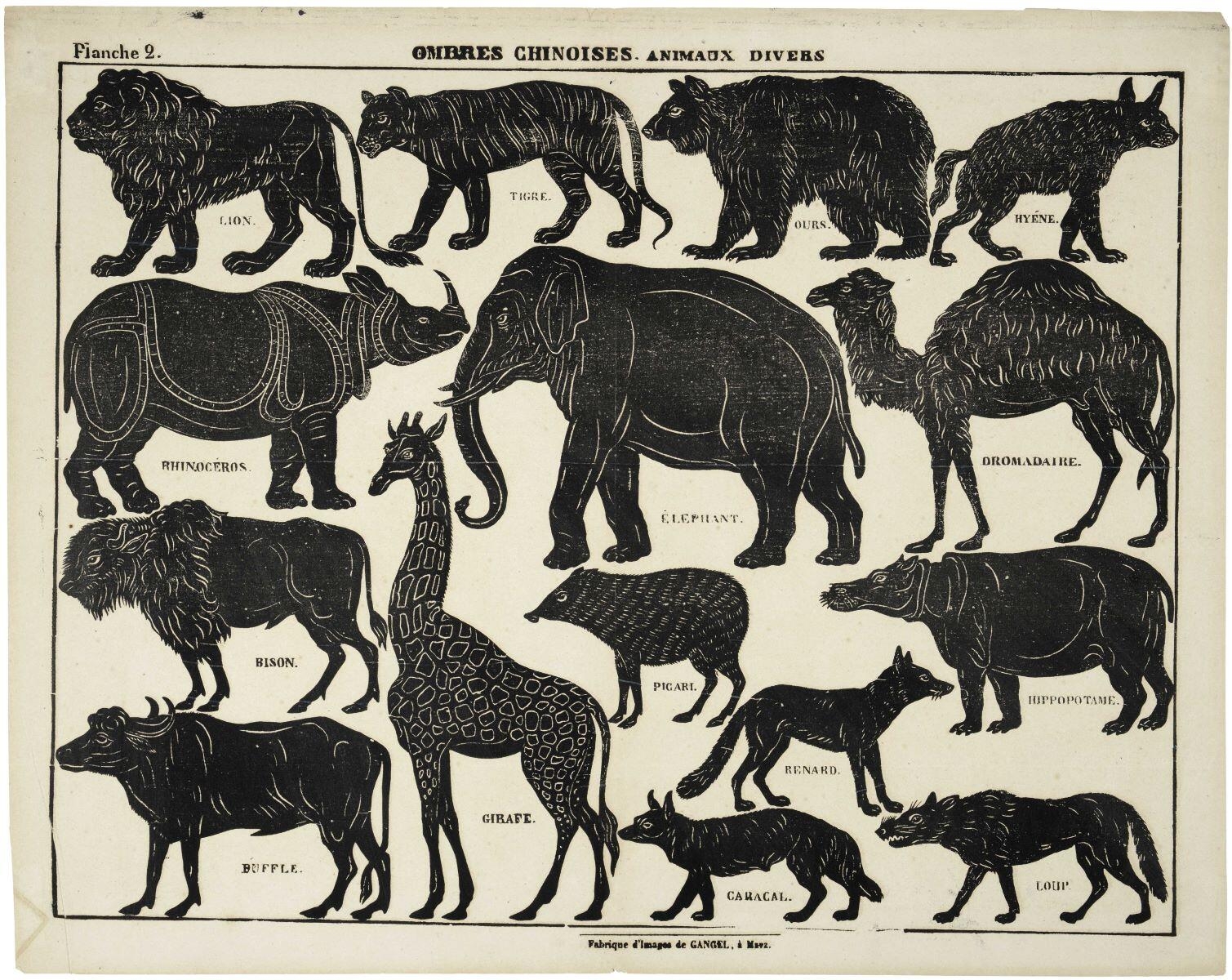 Planche 2. OMBRES CHINOISES. ANIMAUX DIVERS (titre inscrit)