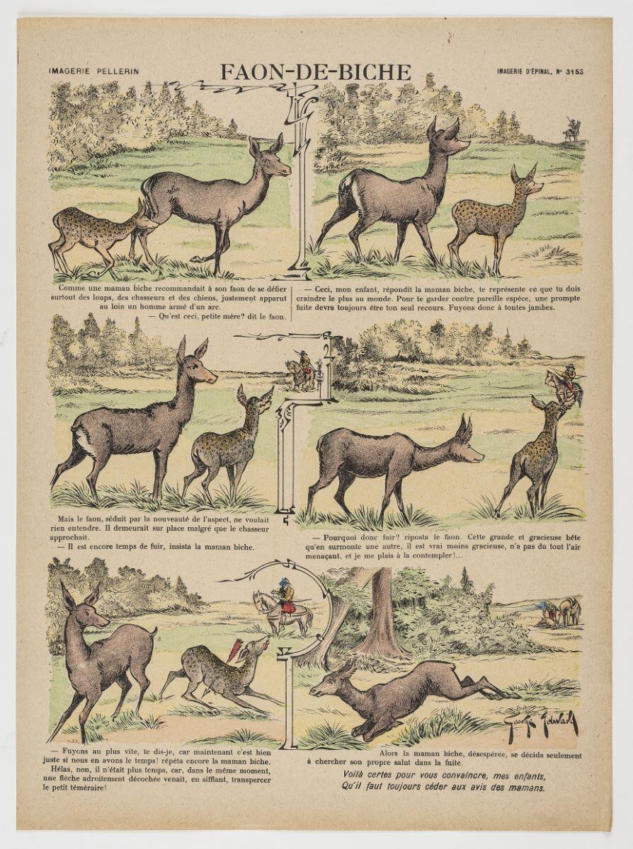 FAON-DE-BICHE (titre inscrit)