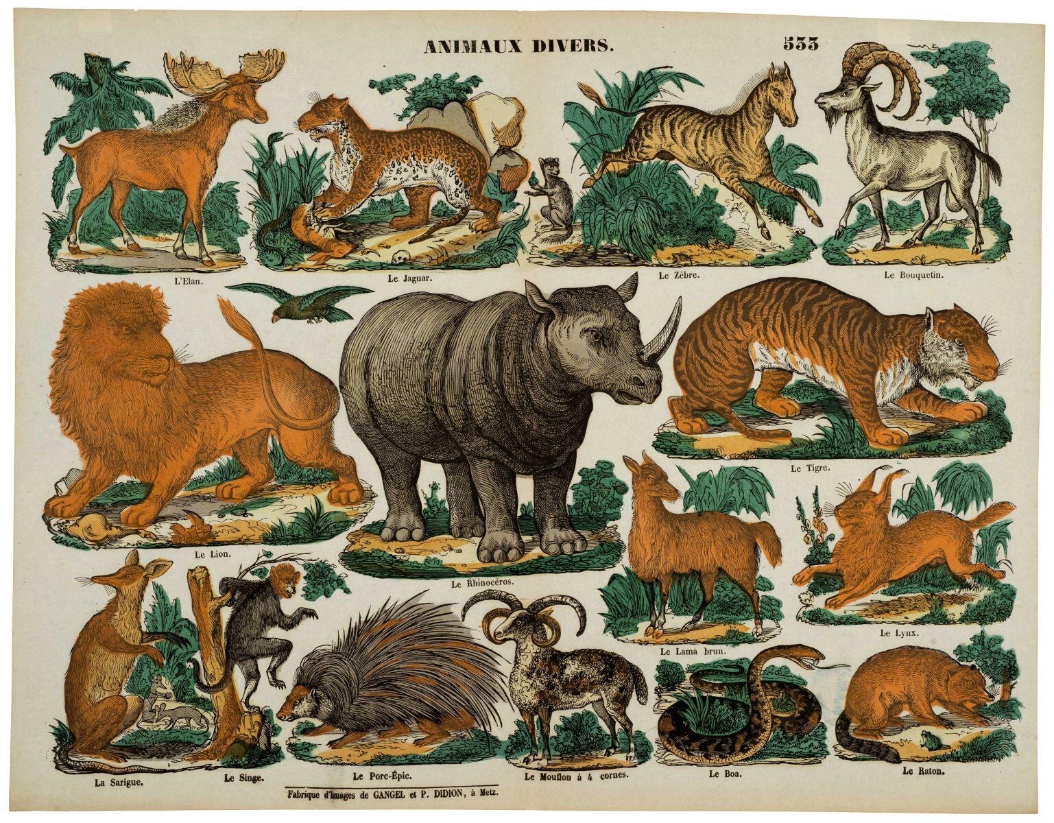 ANIMAUX DIVERS. 533 (titre inscrit)