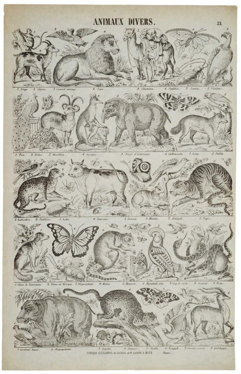 ANIMAUX DIVERS. 33. (titre inscrit)