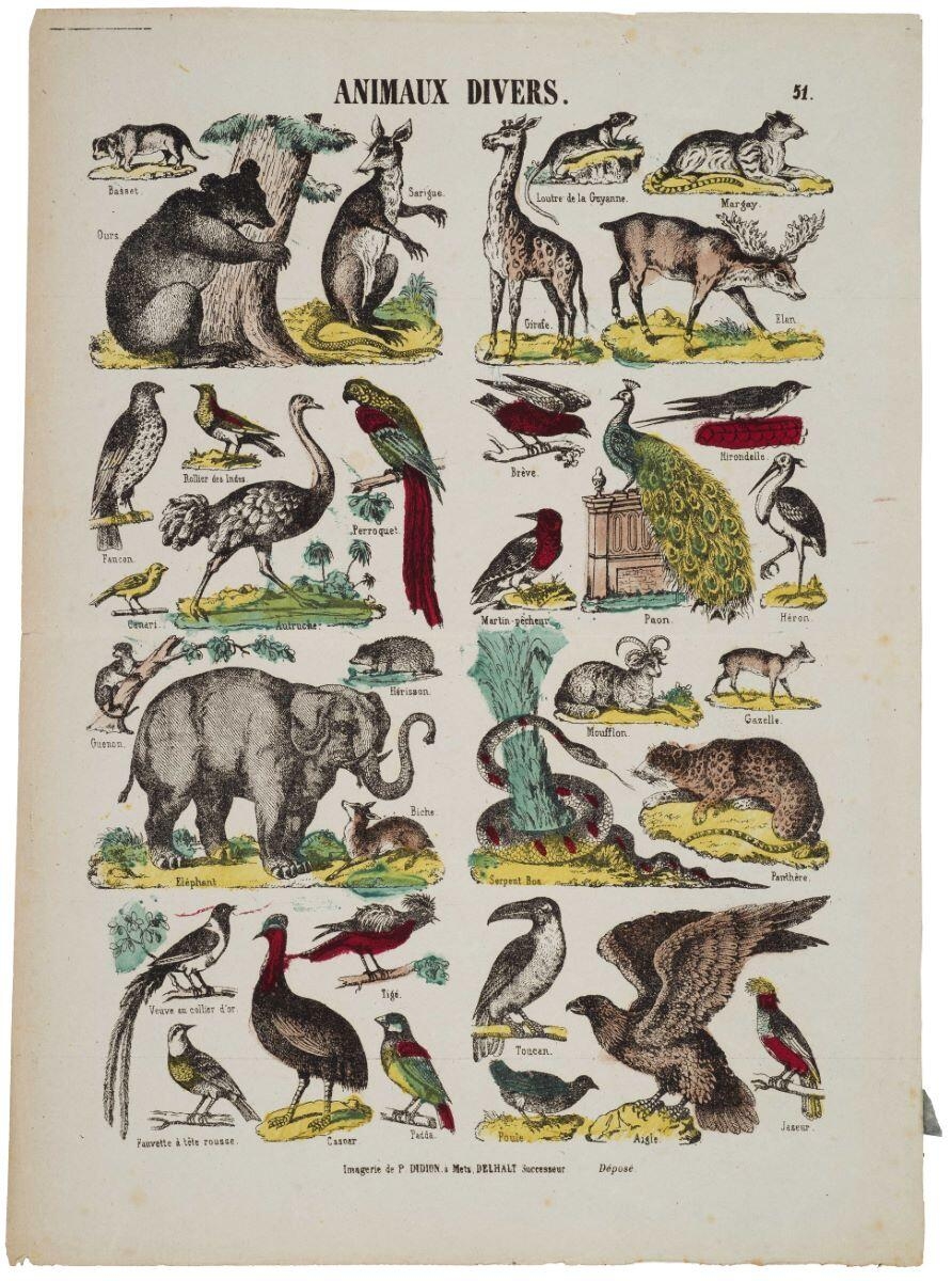 ANIMAUX DIVERS. 51. (titre inscrit)