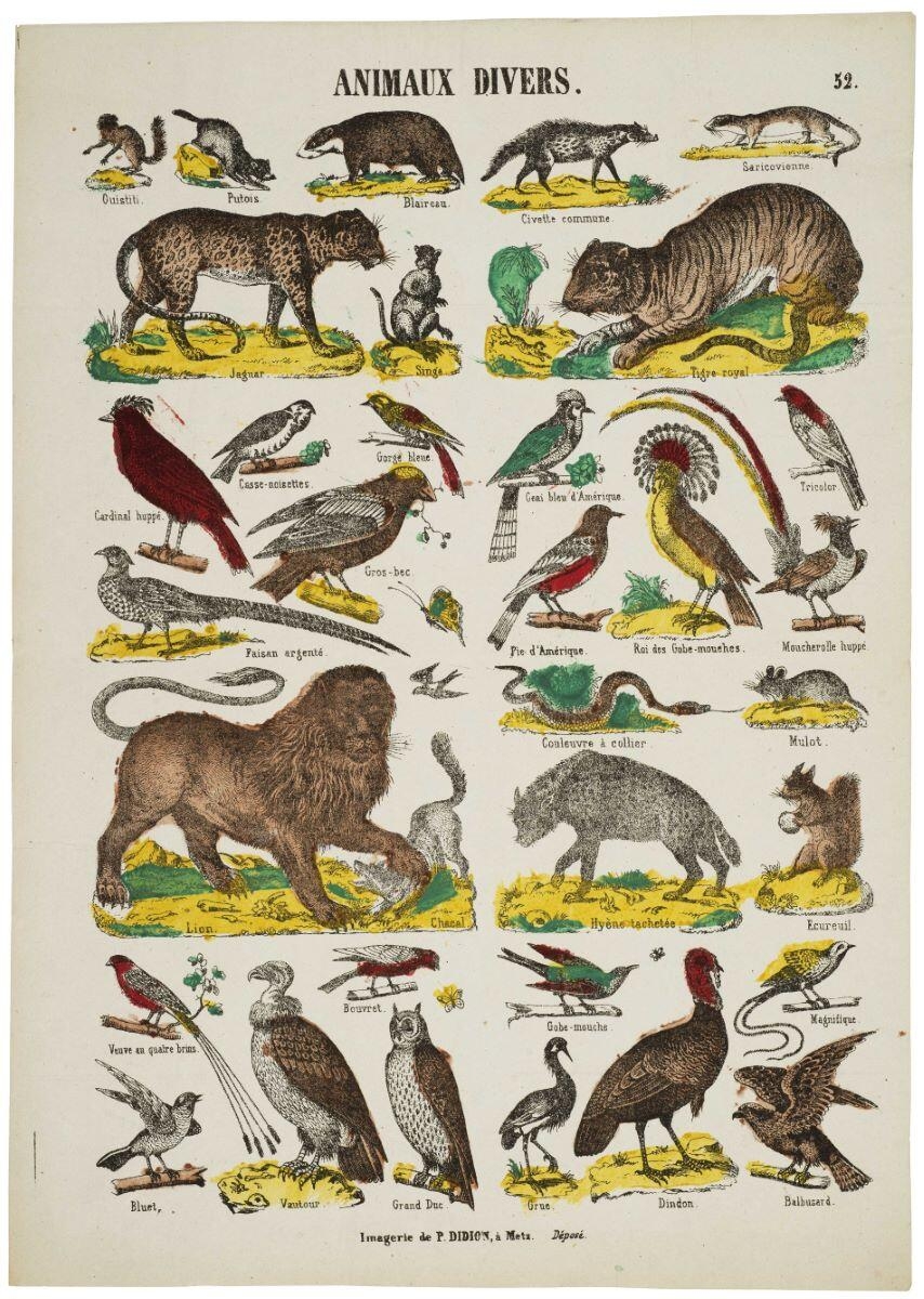 ANIMAUX DIVERS. 52. (titre inscrit)