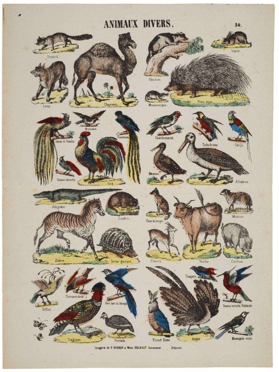 ANIMAUX DIVERS. 54. (titre inscrit)
