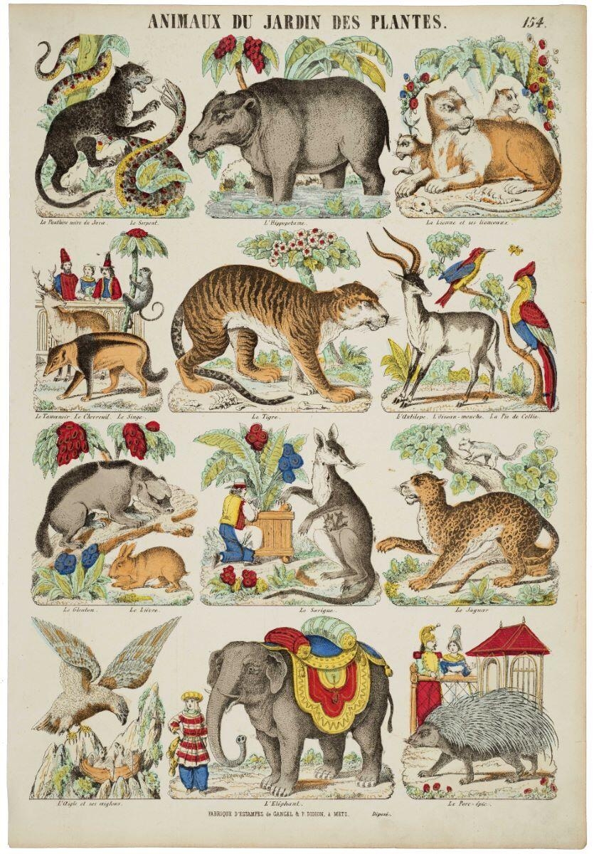 ANIMAUX DU JARDIN DES PLANTES. 154. (titre inscrit)