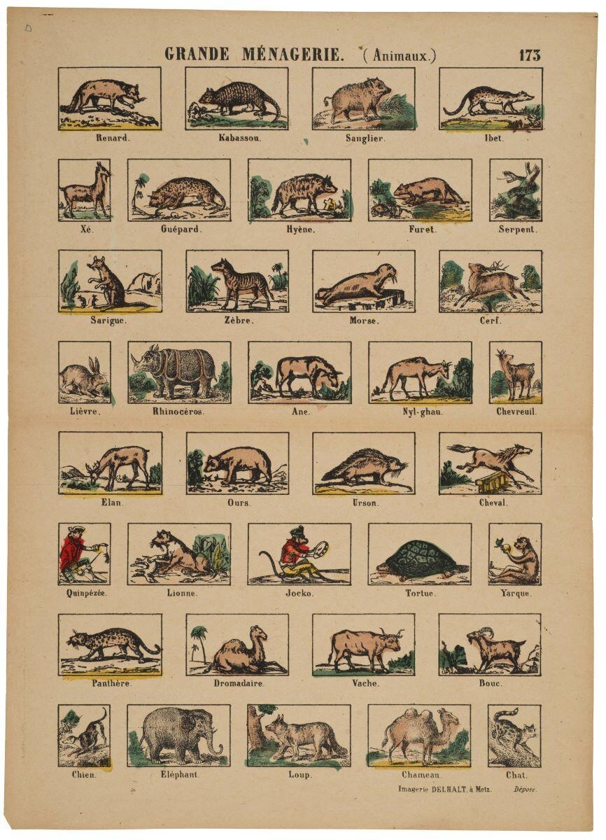GRANDE MÉNAGERIE. (Animaux.) 173 (titre inscrit)