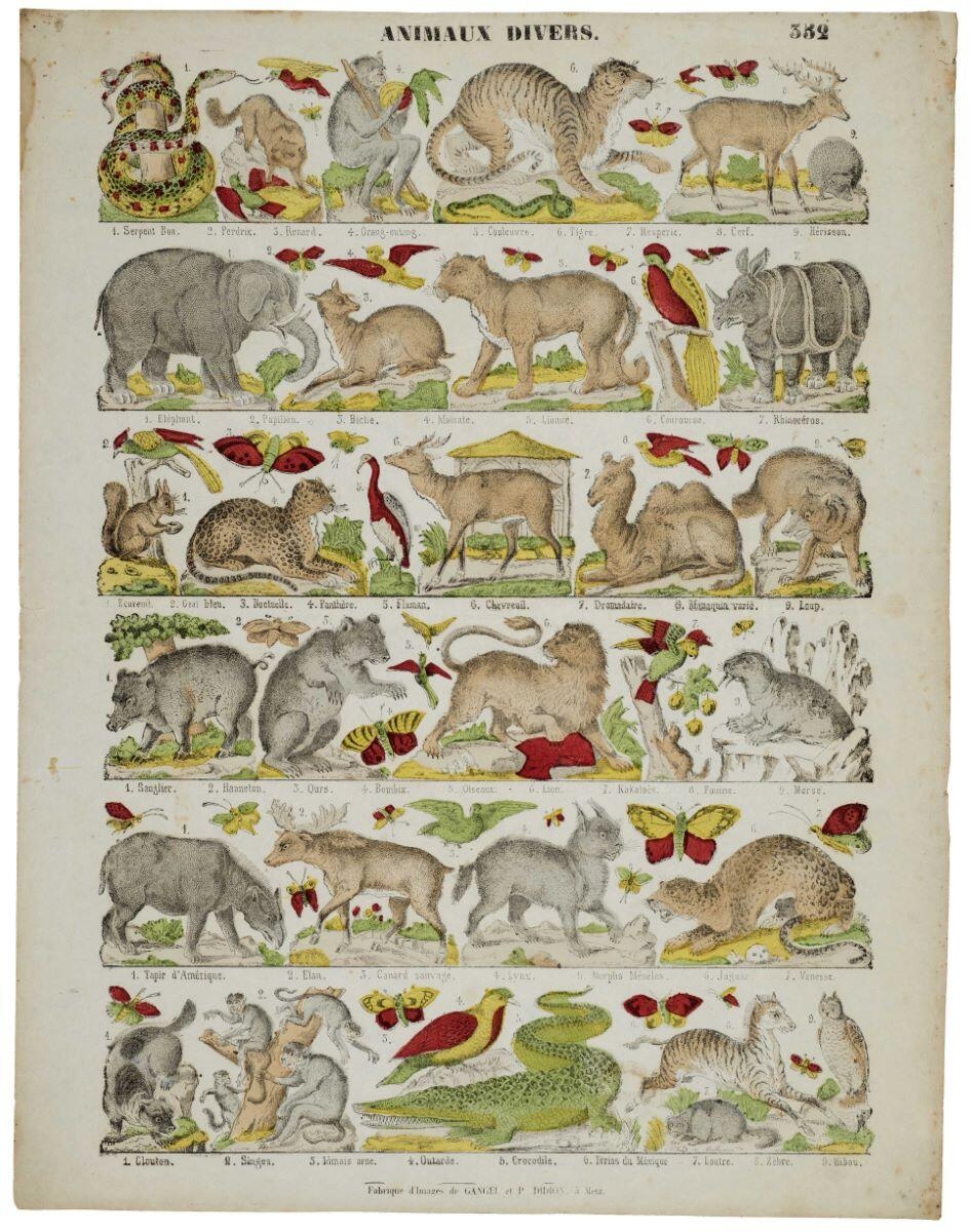 ANIMAUX DIVERS. 352 (titre inscrit)