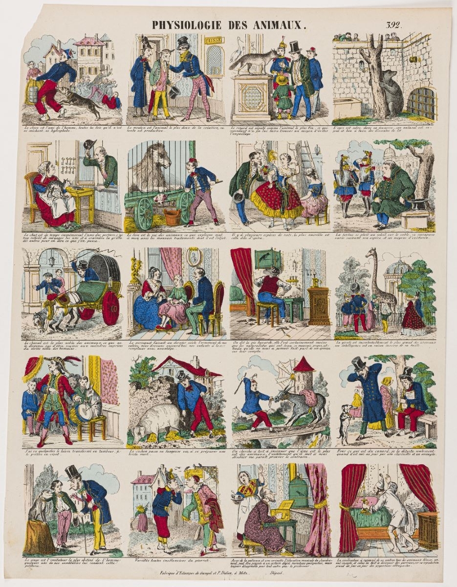 PHYSIOLOGIE DES ANIMAUX. 392. (titre inscrit)