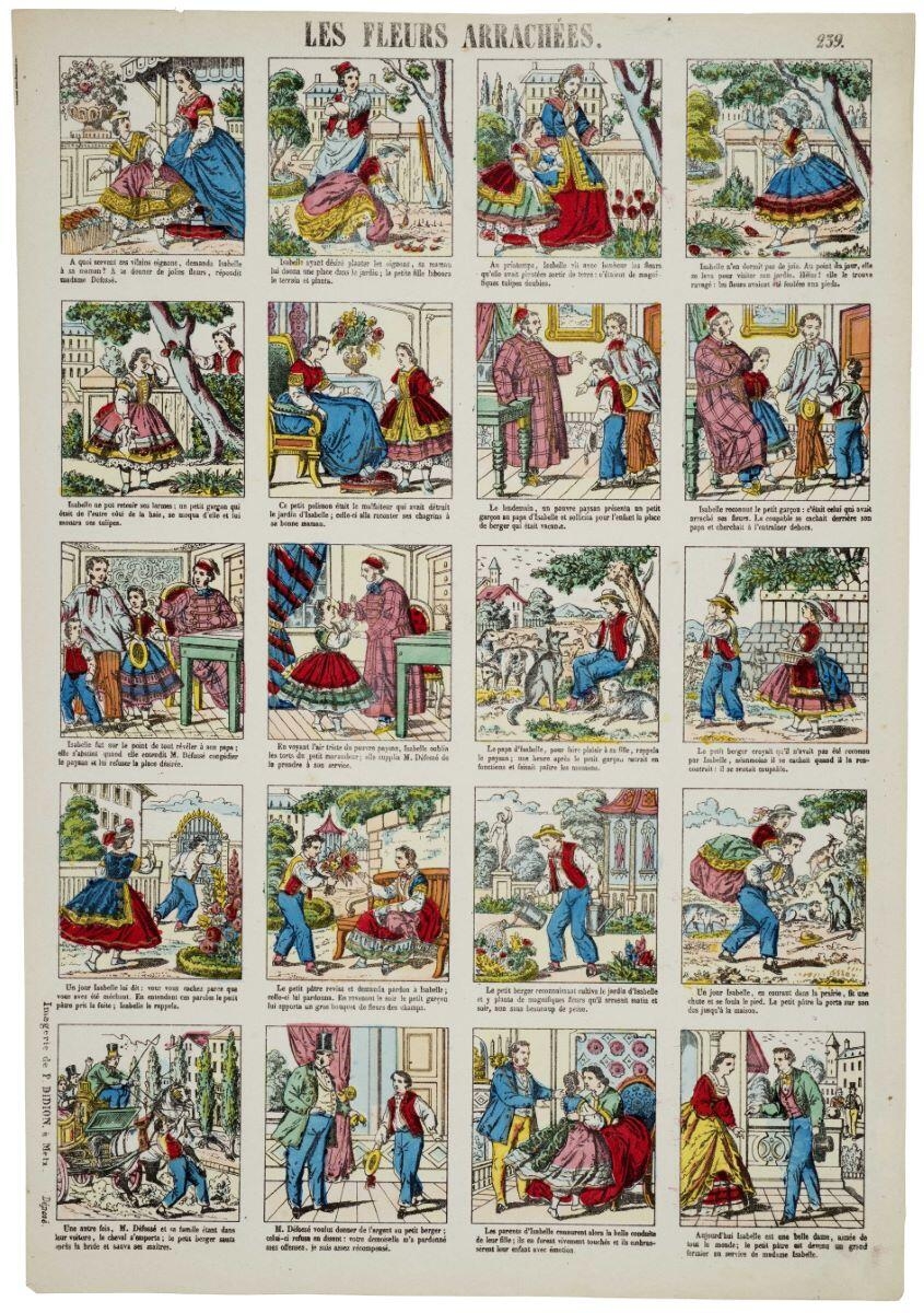 LES FLEURS ARRACHÉES. 239. (titre inscrit)