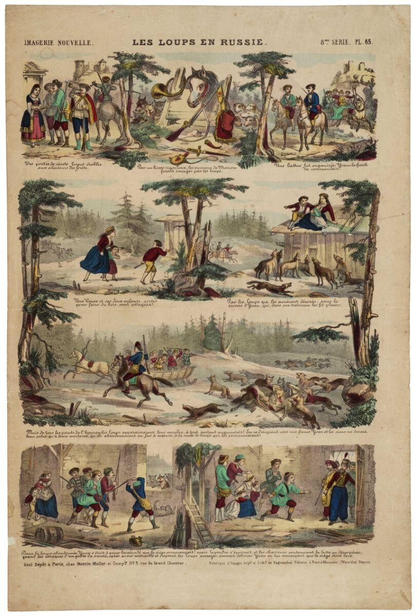LES LOUPS EN RUSSIE. 8me. SÉRIE, PL. 65. (titre inscrit)