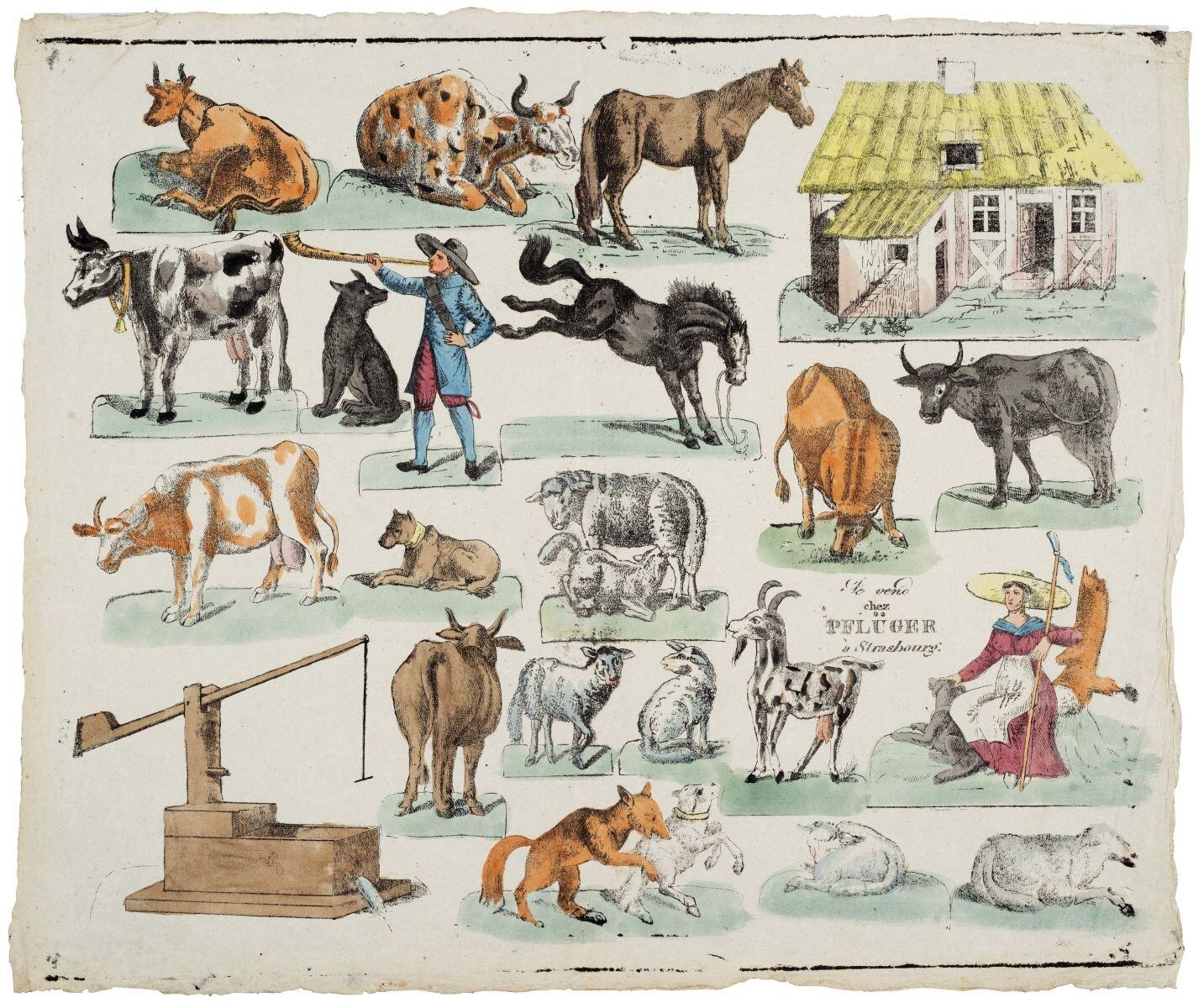 Les animaux de la ferme (titre factice)