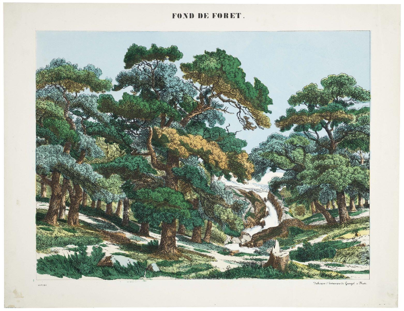 FOND DE FORET. (titre inscrit)