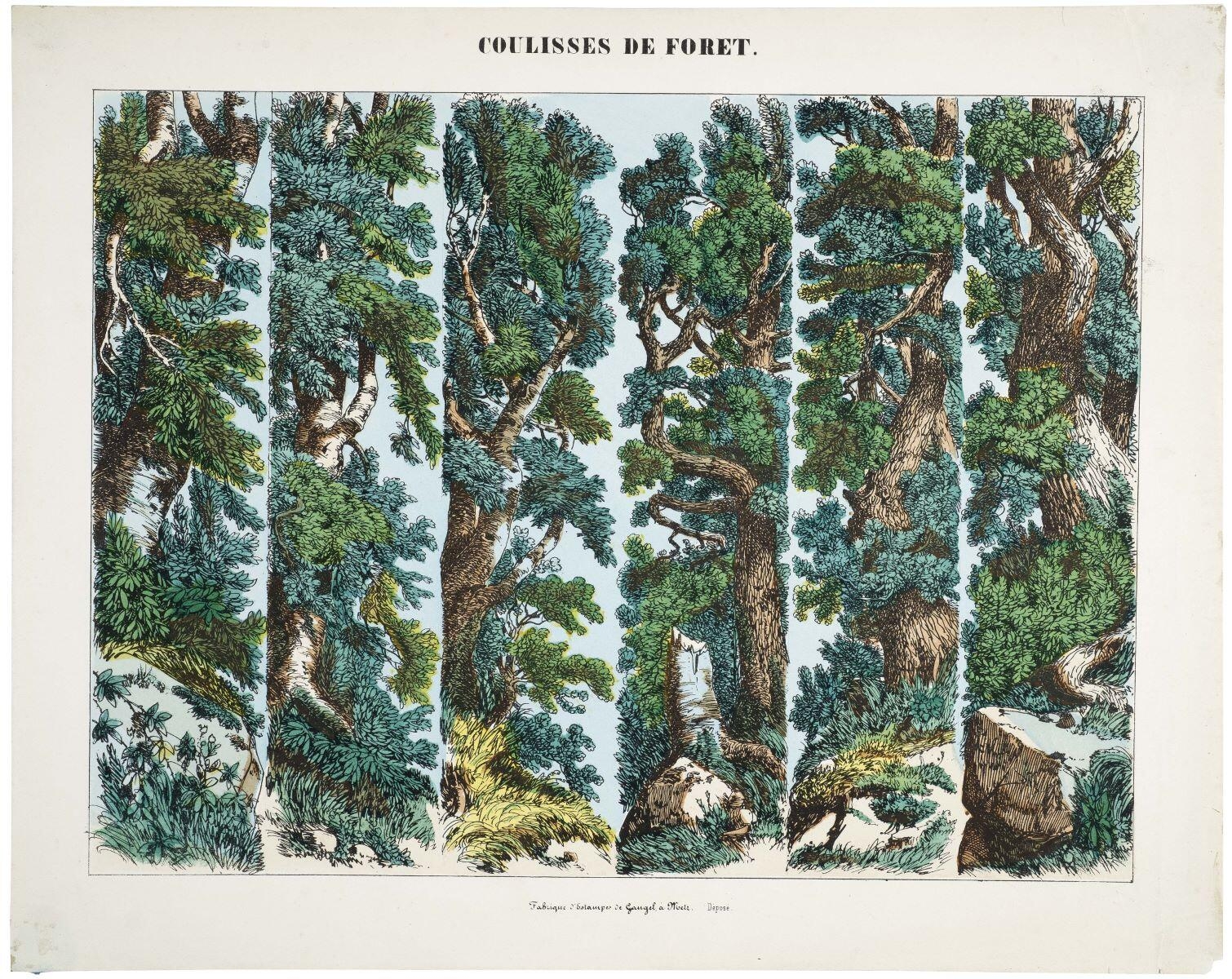 COULISSES DE FORET. (titre inscrit)