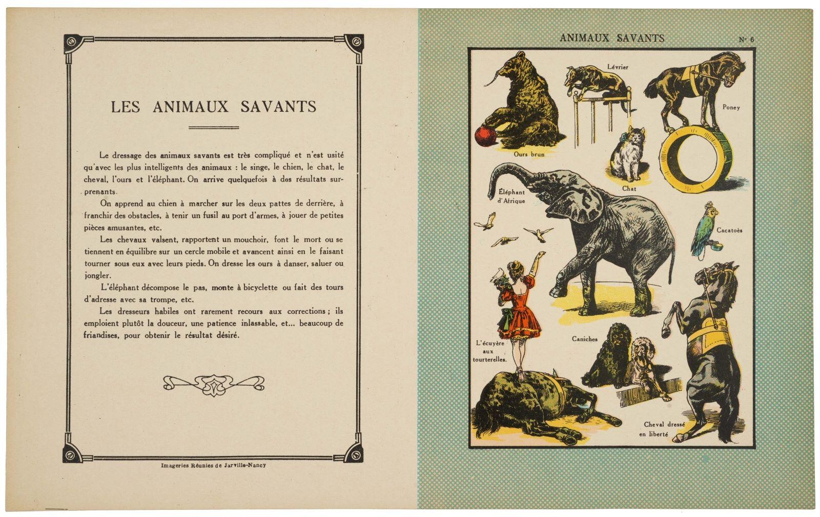 ANIMAUX SAVANTS N° 6 (titre inscrit)
