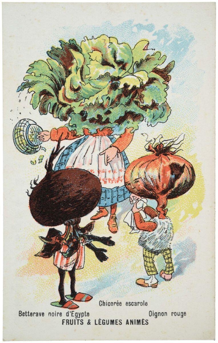 FRUITS & LÉGUMES ANIMÉS / Betterave noire d'Egypte / Chicorée escarole / Oignon rouge (titre inscrit)
