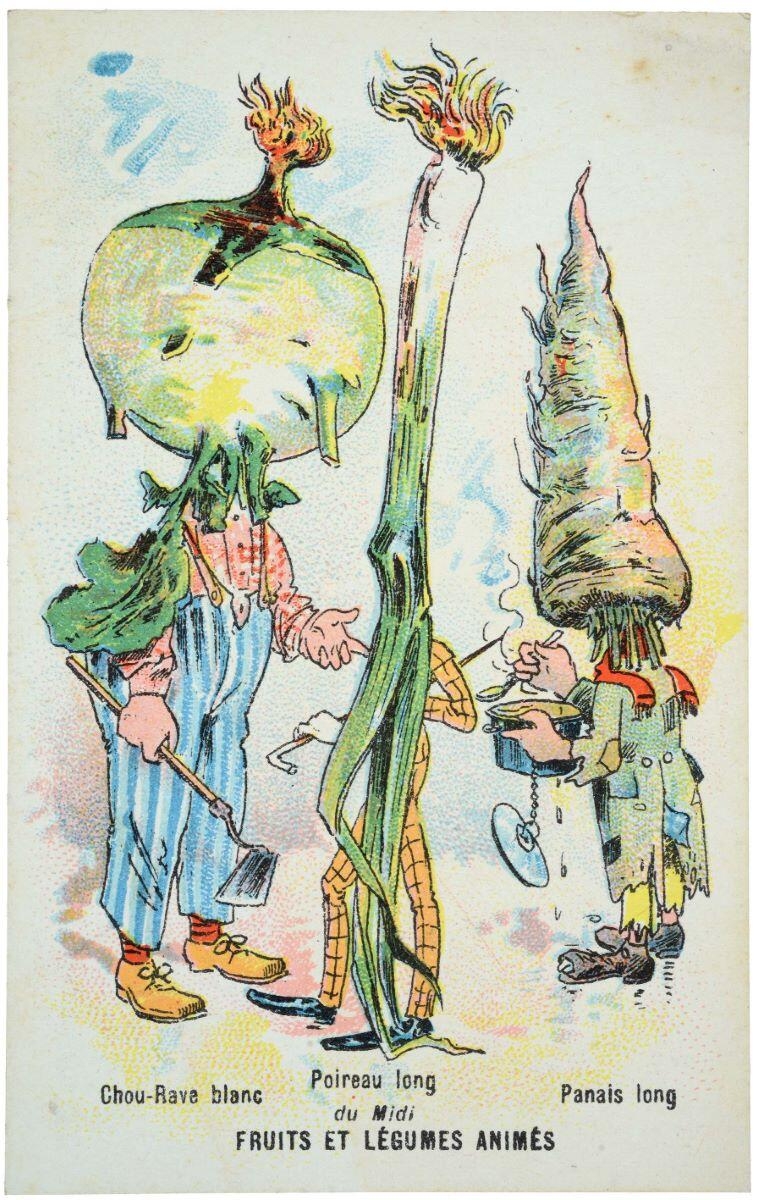 FRUITS & LÉGUMES ANIMÉS / Chou-Rave blanc / Poireau long / du Midi / Panais long (titre inscrit)