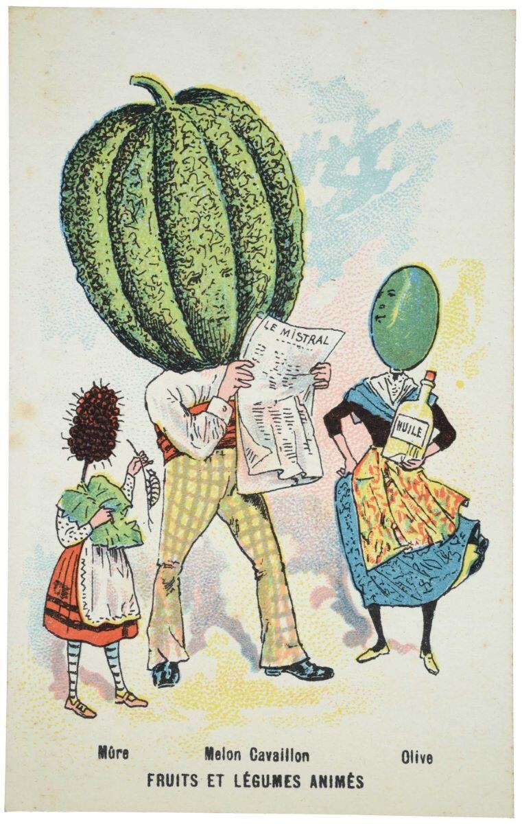 FRUITS & LÉGUMES ANIMÉS / Mûre Melon Cavaillon Olive (titre inscrit)