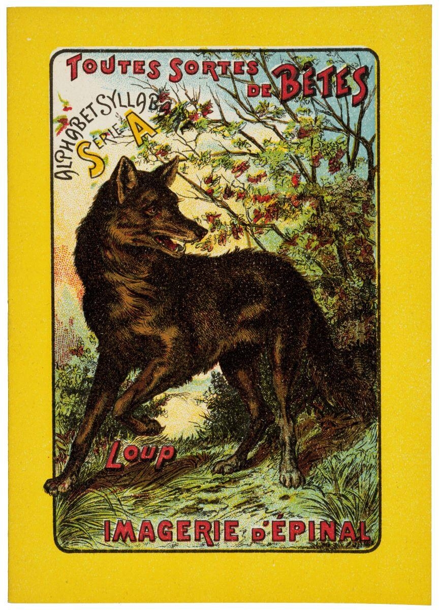 TOUTES SORTES / DE BÊTES / ALPHABET SYLLABAIRE / SÉRIE A / Loup (titre inscrit)