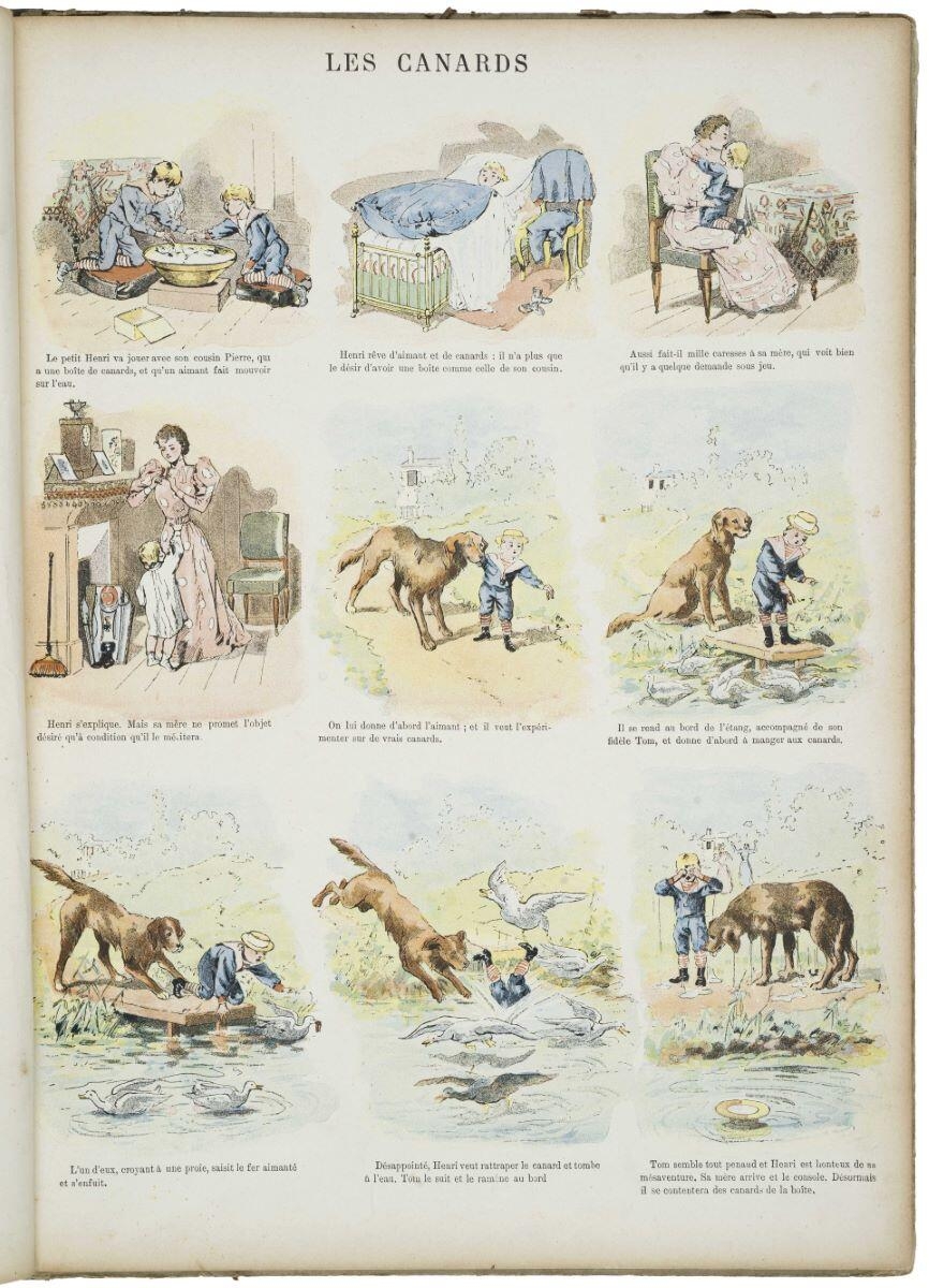 LES CANARDS (titre inscrit)