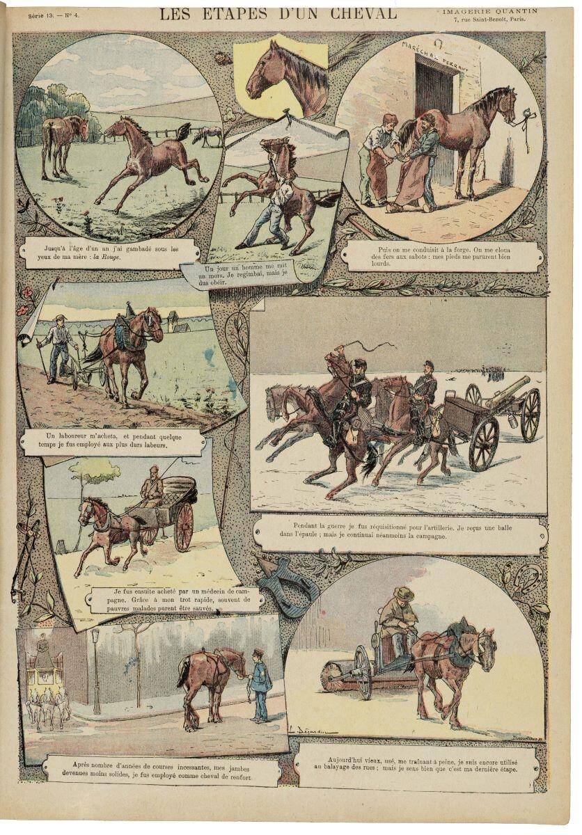 LES ETAPES D'UN CHEVAL (titre inscrit)