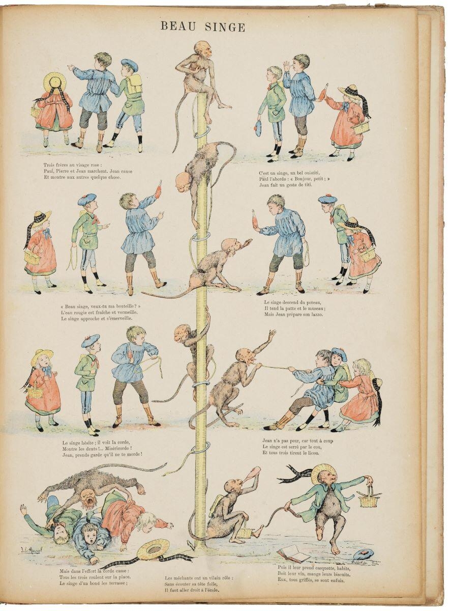 BEAU SINGE (titre inscrit)