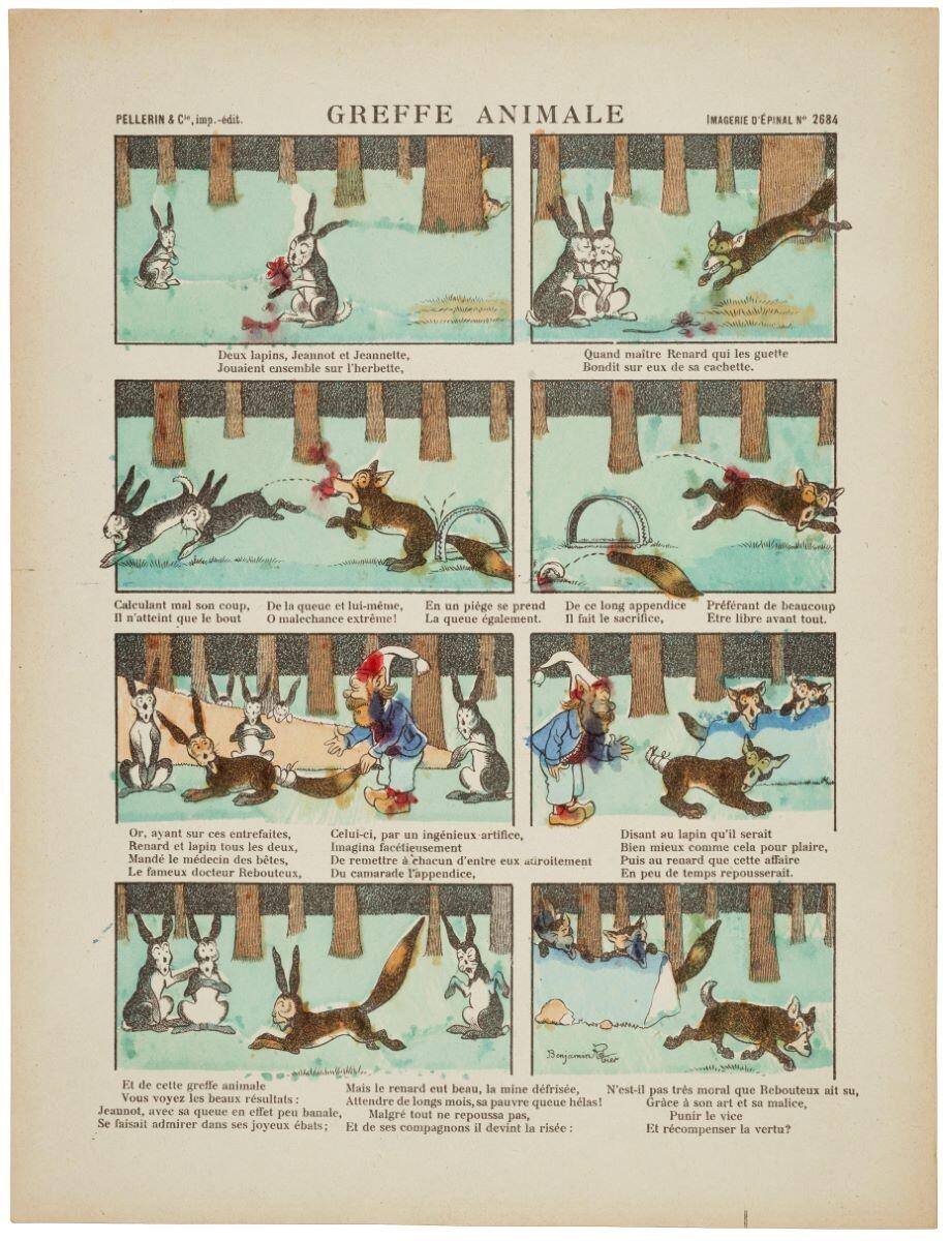 GreFFe animale (titre inscrit)