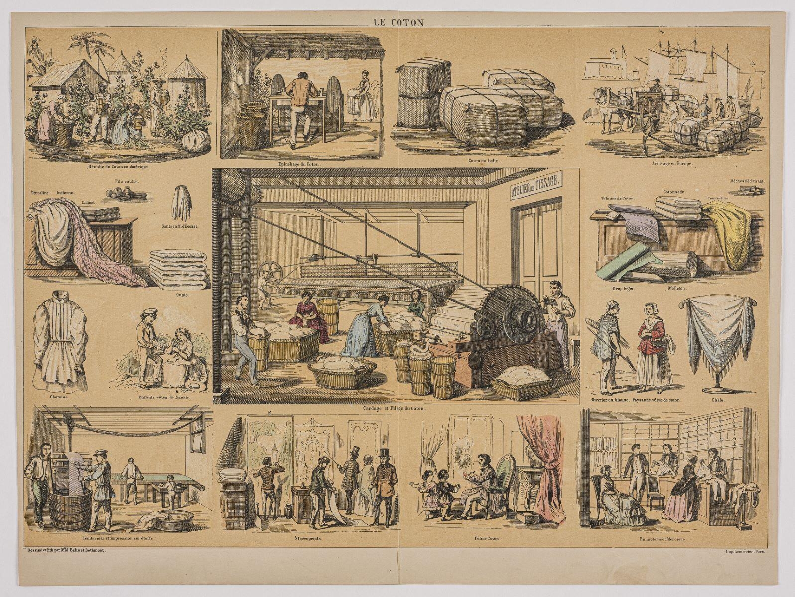 LE COTON (titre inscrit)