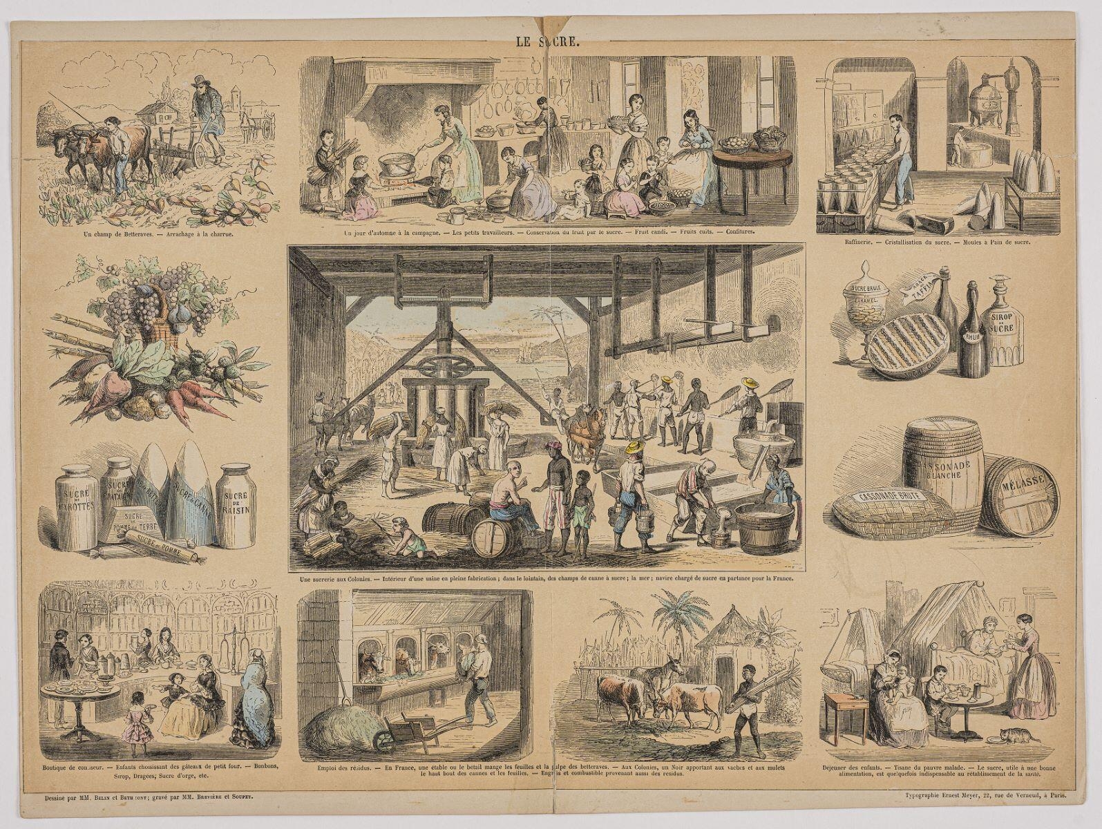 LE SUCRE. (titre inscrit)