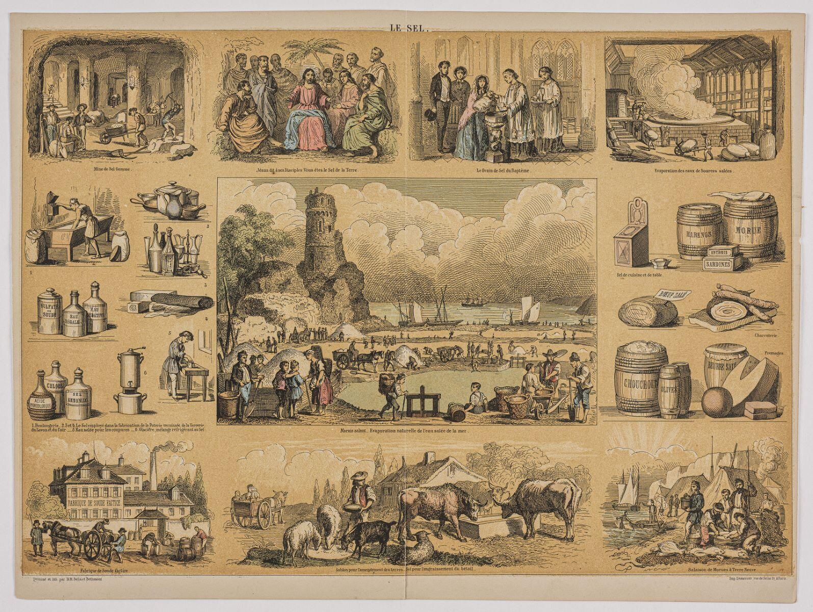 LE SEL. (titre inscrit)