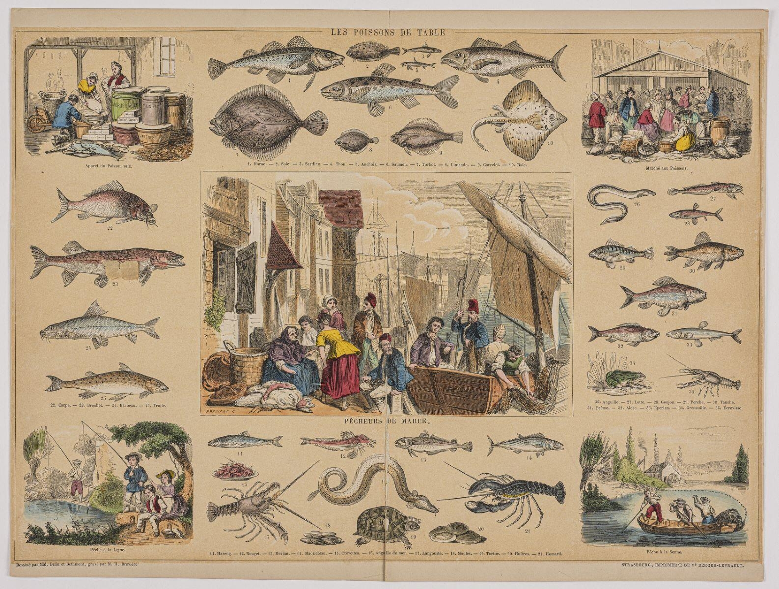 LES POISSONS DE TABLE (titre inscrit)