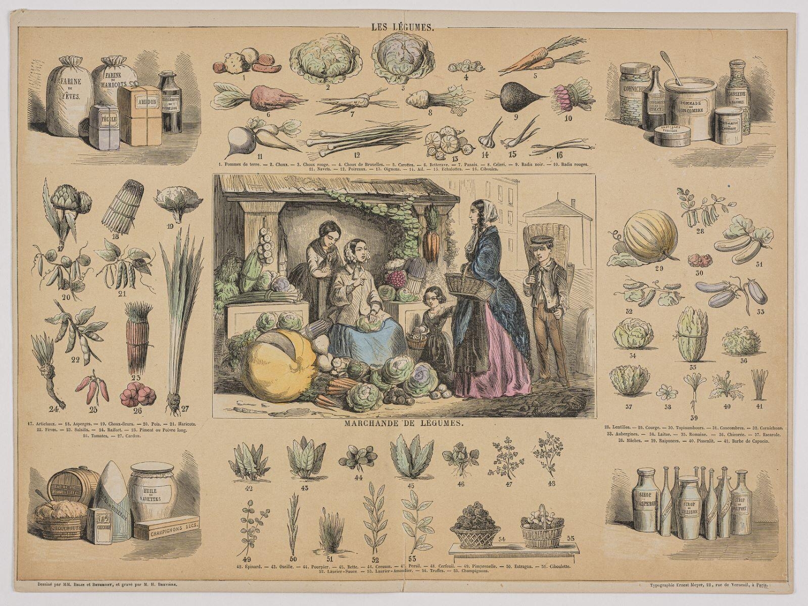 LES LÉGUMES. (titre inscrit)