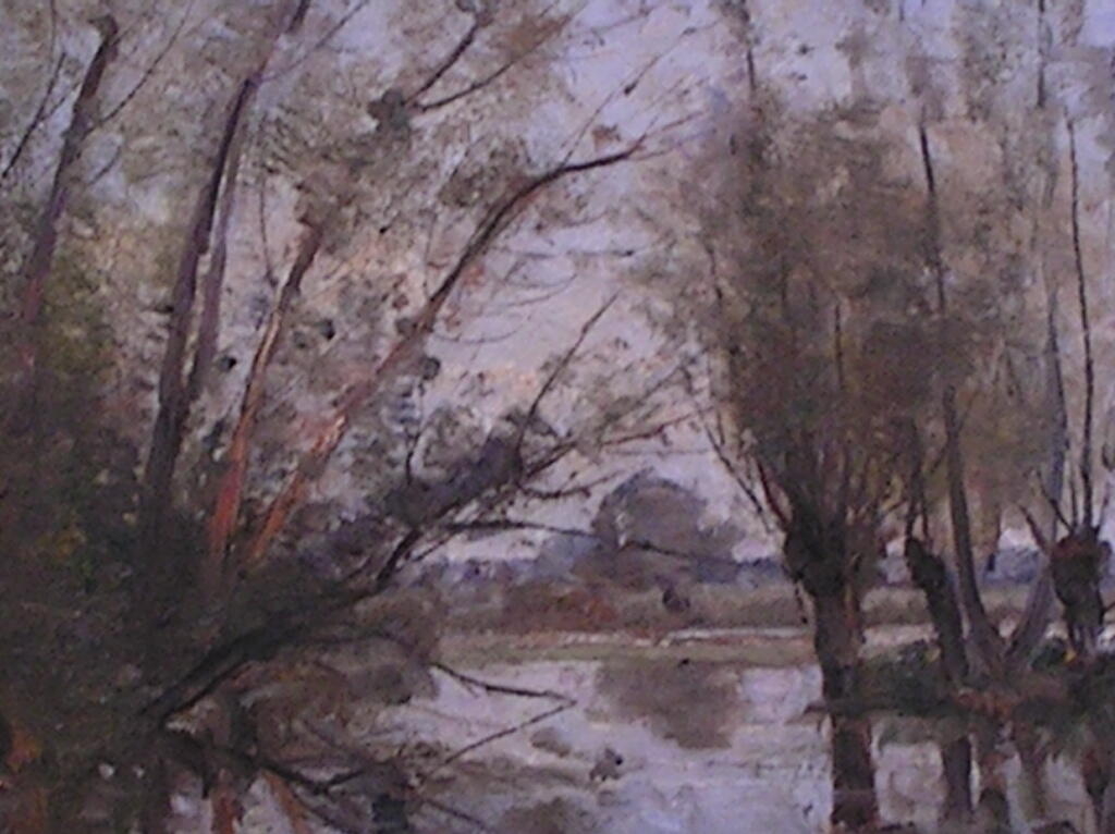 Bord de rivière bois