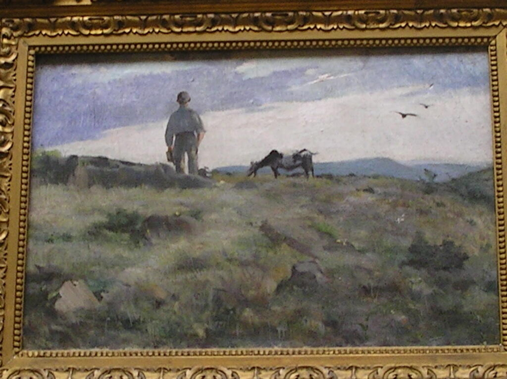 Sur les hautes-chaumes