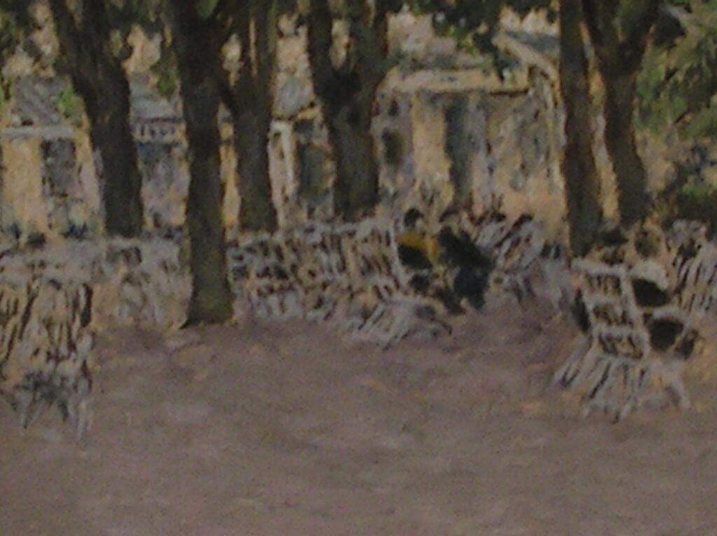 Etude : le parc de Contrexeville