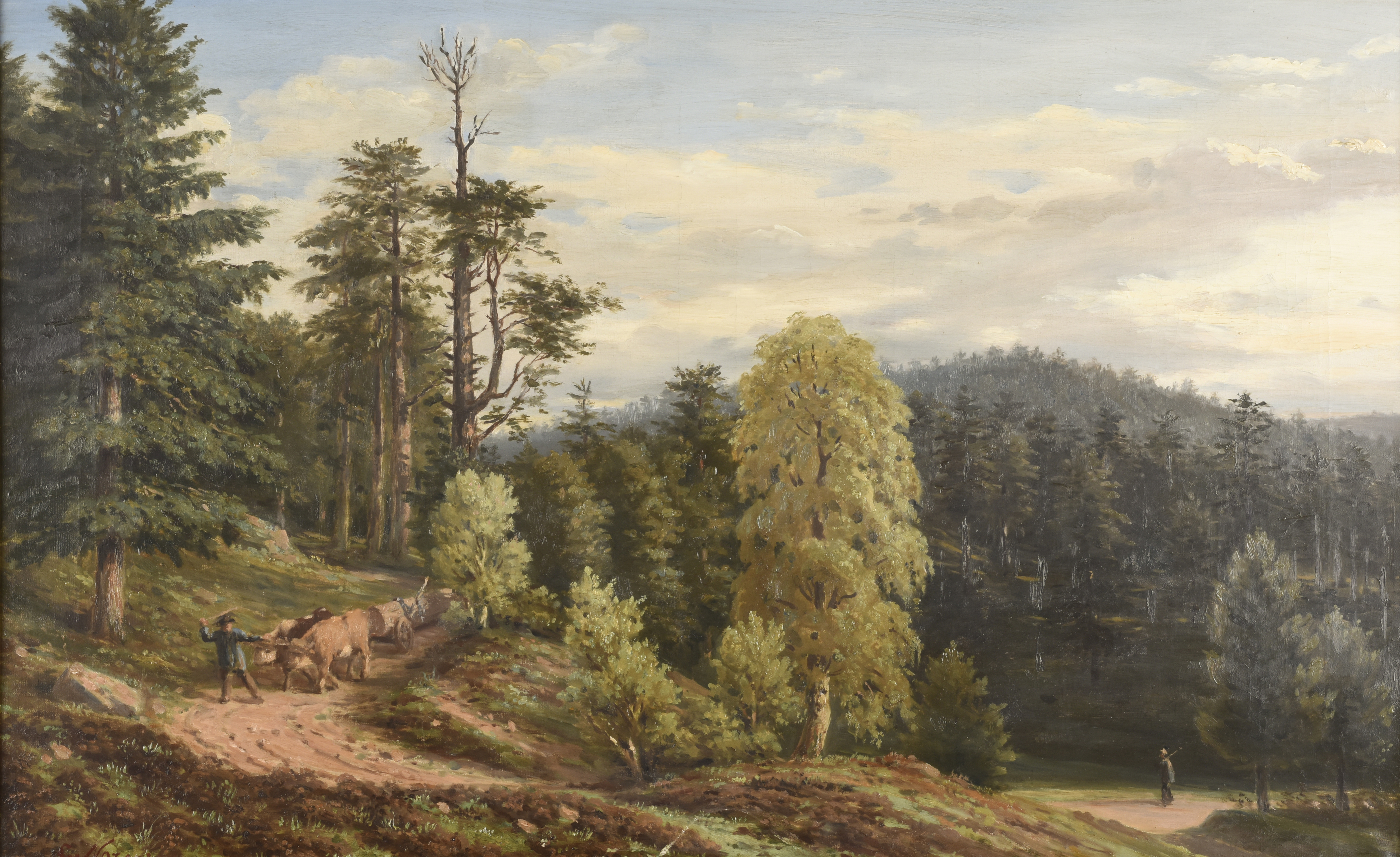 Attelage dans la forêt vosgienne