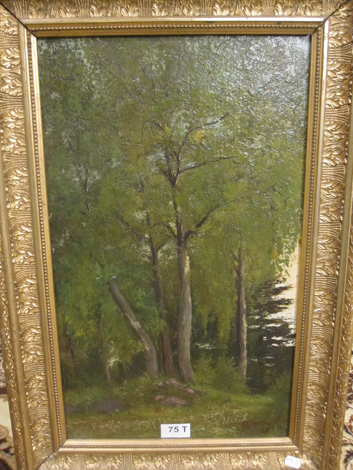 Bouleaux, route de Plombières